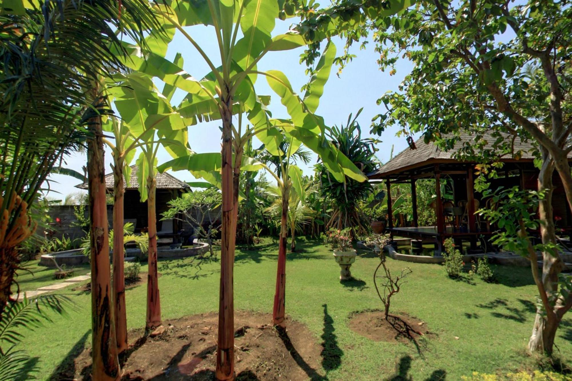 Sawah Lovina Hotel Exterior foto